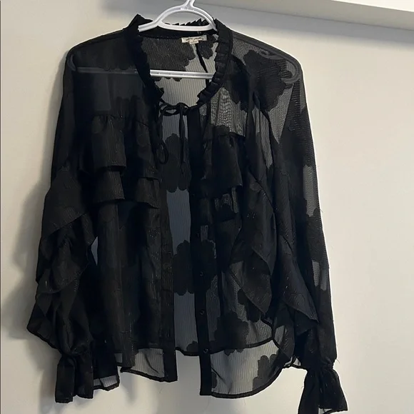Chic Black Ruffle Sheer Blouse - Picture 1 of 5